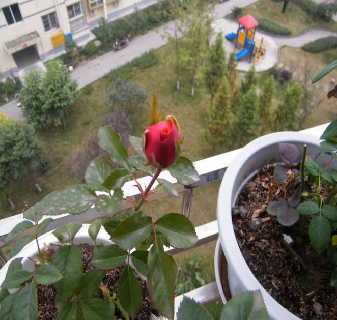 1289642953-94.jpg