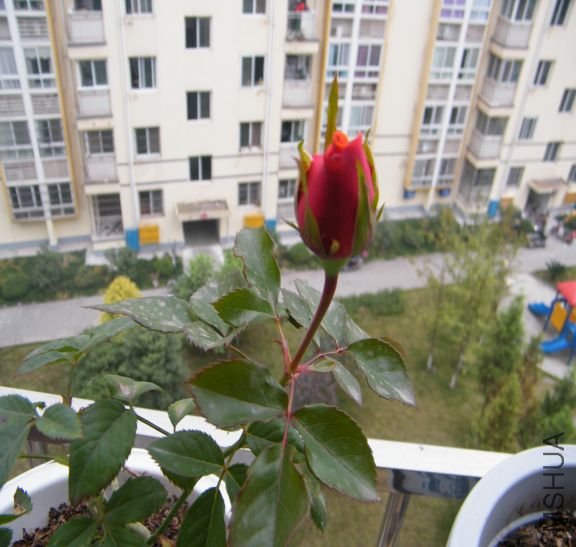 1289643063-58.jpg