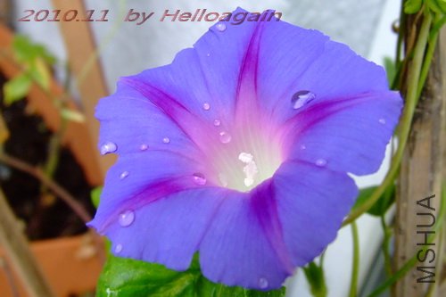 С����ɫ���� 2.jpg