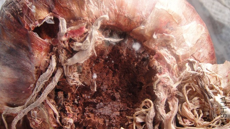 ������ǰ�����Ϸ��ֵģ�����ʱ��Ȼ���׵���ˡ���