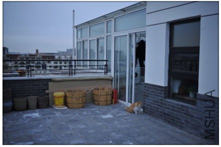 Screen shot 2010-02-14 at ����02.05.24.jpg