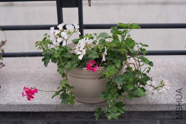 Screen shot 2010-11-14 at ����08.53.32.jpg