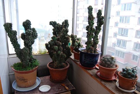 DSC_1104.JPG