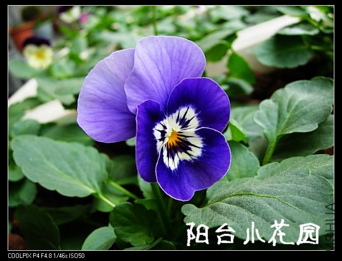 DSCN8169.JPG