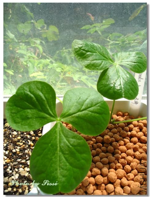 nEO_IMG_101010 005.jpg