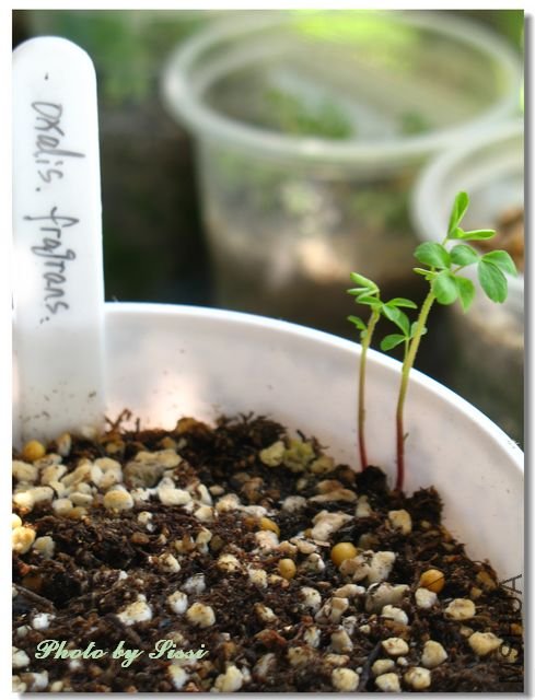 nEO_IMG_101010 011.jpg