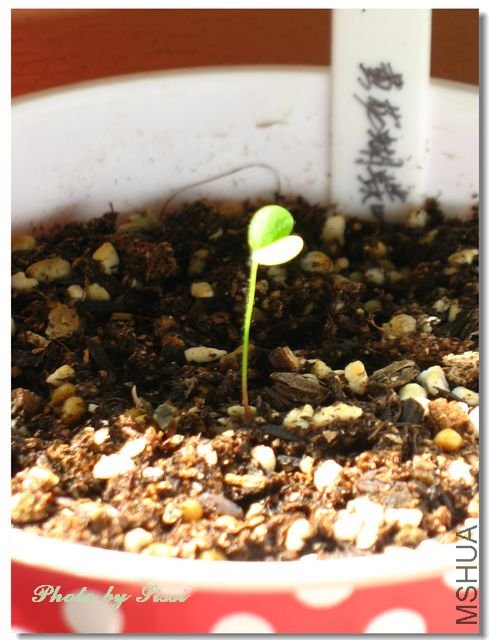 nEO_IMG_101010 013.jpg