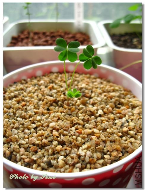 nEO_IMG_101017 012.jpg