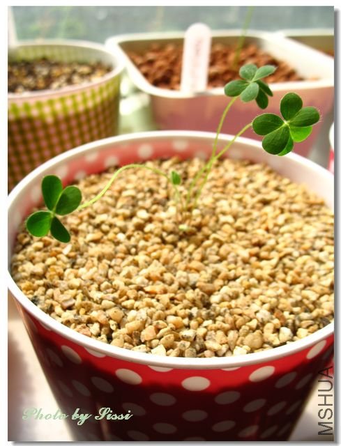 nEO_IMG_101017 034.jpg