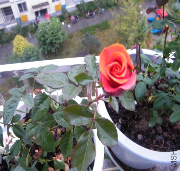 1289795130-43.jpg