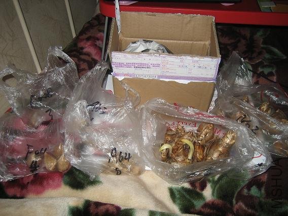 �յ�6��Ʒ��