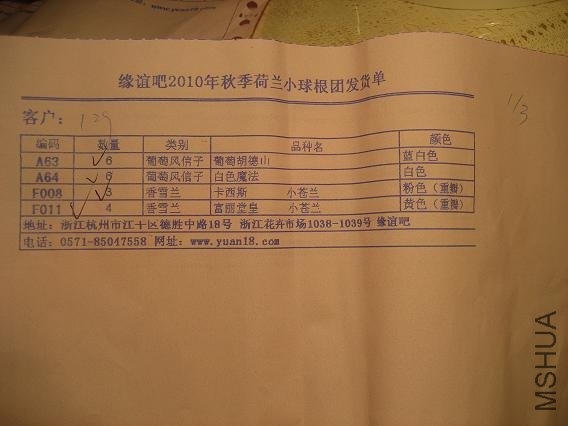 IMG_0681 - ����.JPG