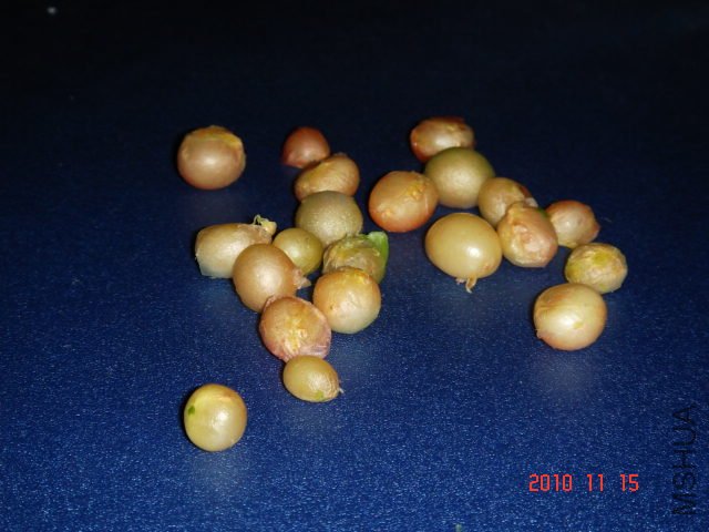 DSC03742.JPG