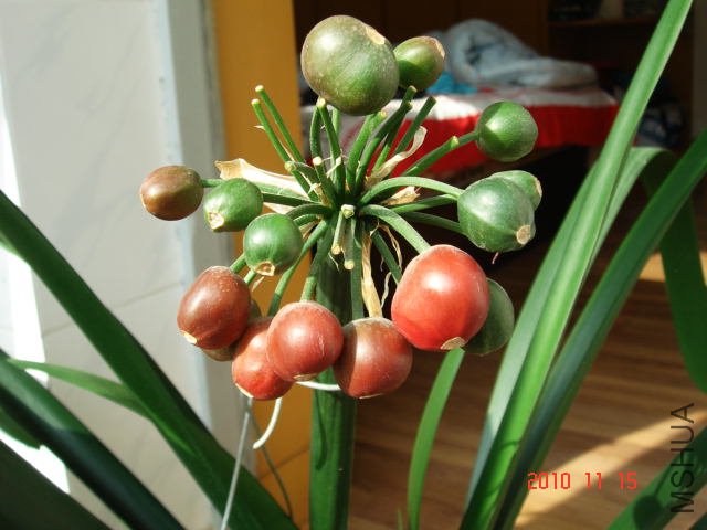 DSC03731.JPG