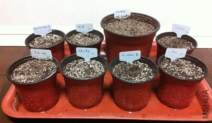 Screen shot 2010-11-15 at ����11.25.34.jpg