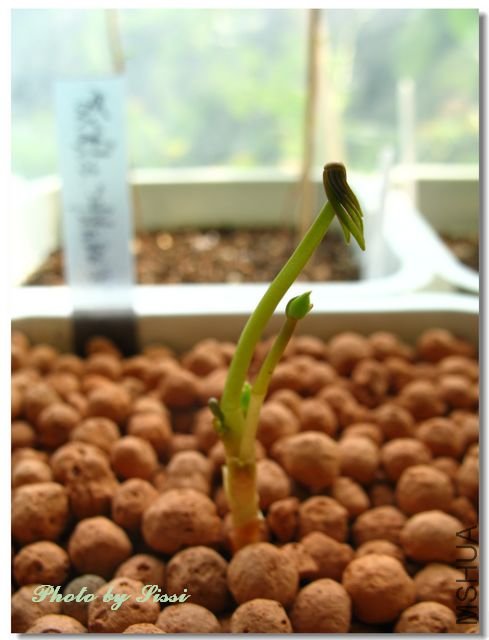 nEO_IMG_101010 019.jpg