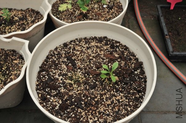 Screen shot 2010-11-16 at ����09.32.40.jpg