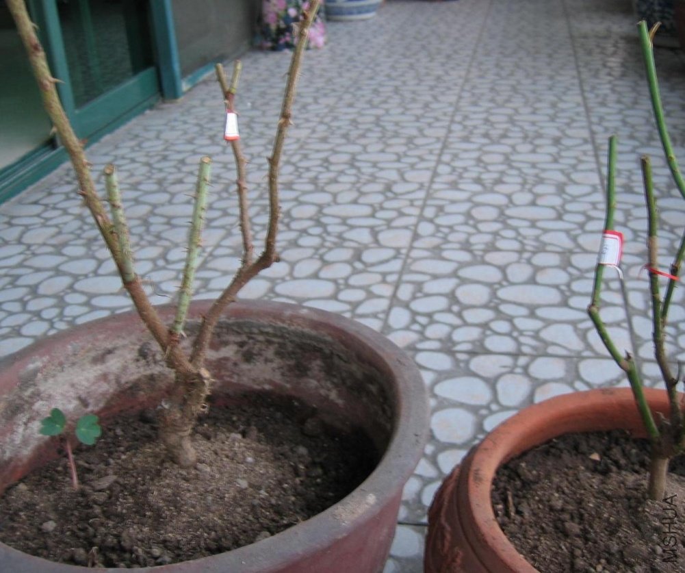 ������Ǵ�������֪����������