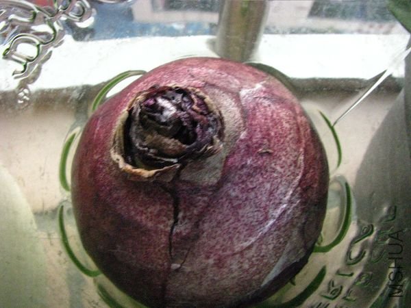 ������  һ�㶯����û��