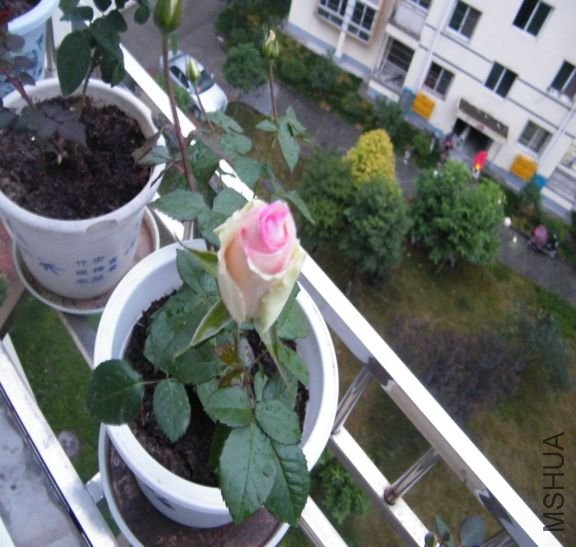 1289968606-48.jpg