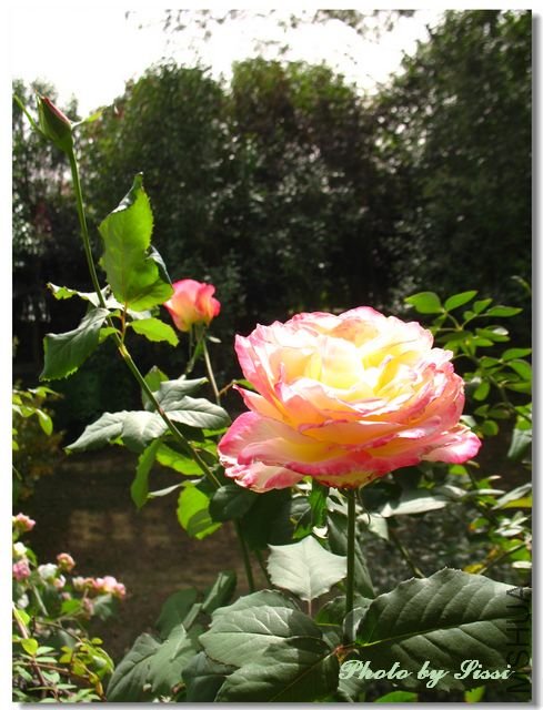 nEO_IMG_101113 054.jpg