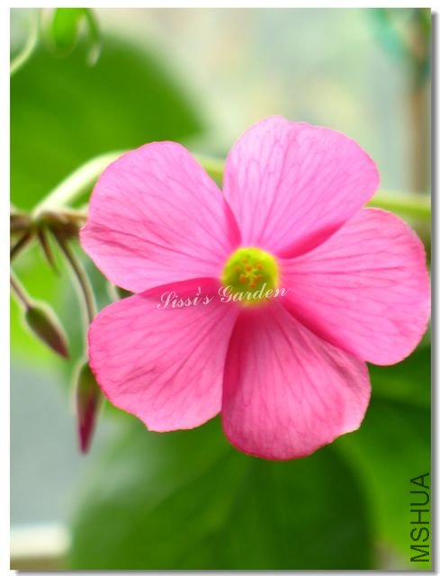 nEO_IMG_101017 081.jpg