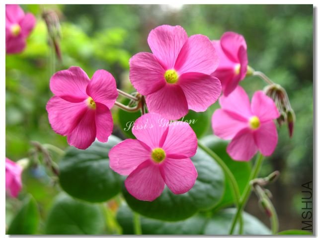 nEO_IMG_101017 003.jpg