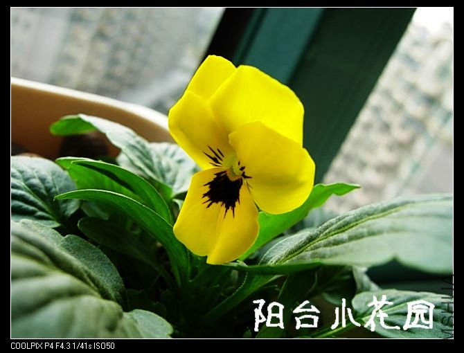 DSCN8175.JPG