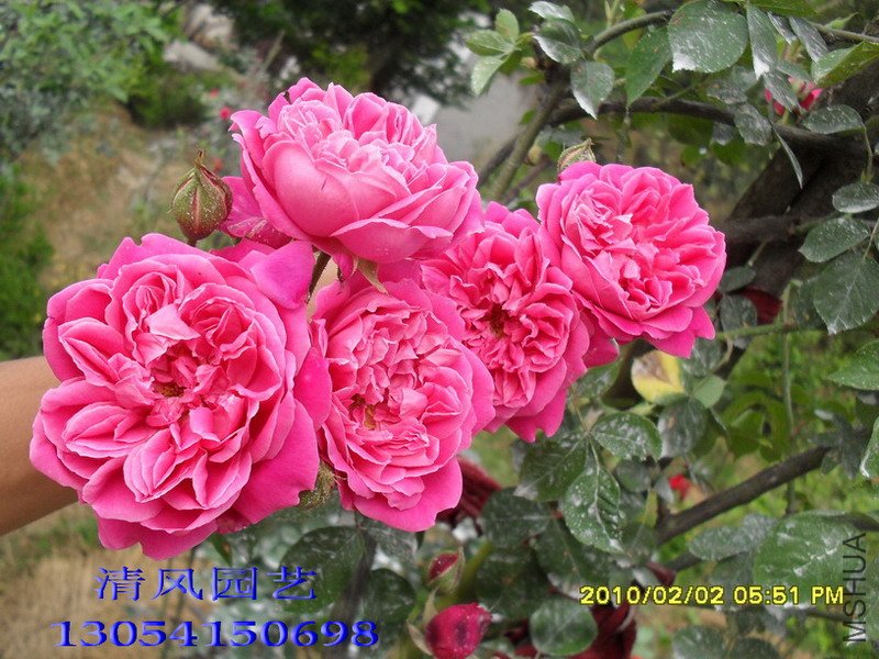 �������11 (8).jpg