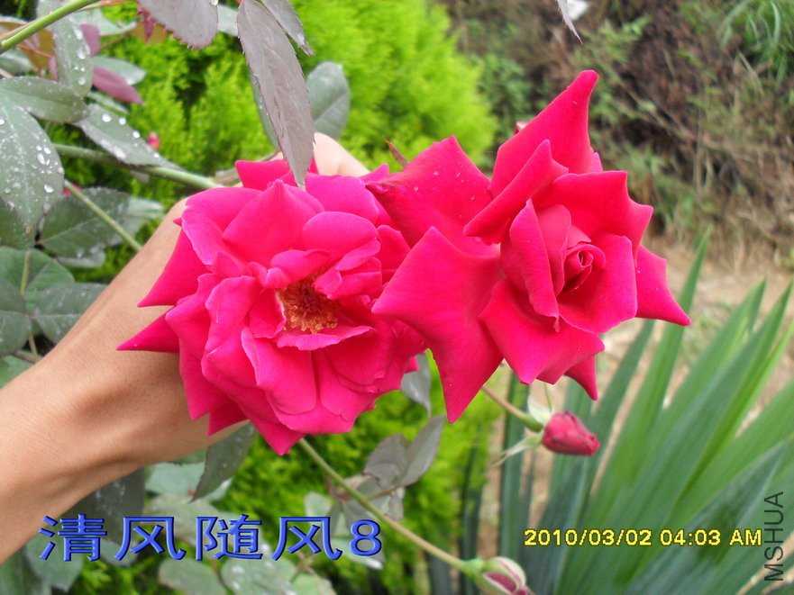 �ٶ�ͷ��11 (8).jpg