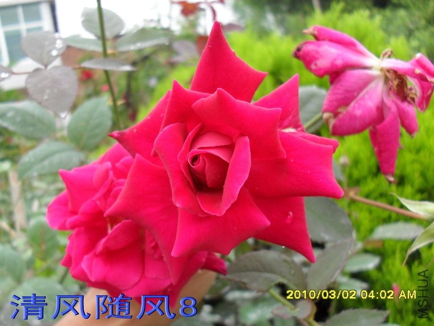 �ٶ�ͷ��11 (7).jpg