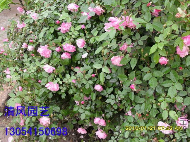 Ũ�����·�11 (4).jpg