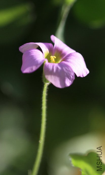 IMG_4339.jpg