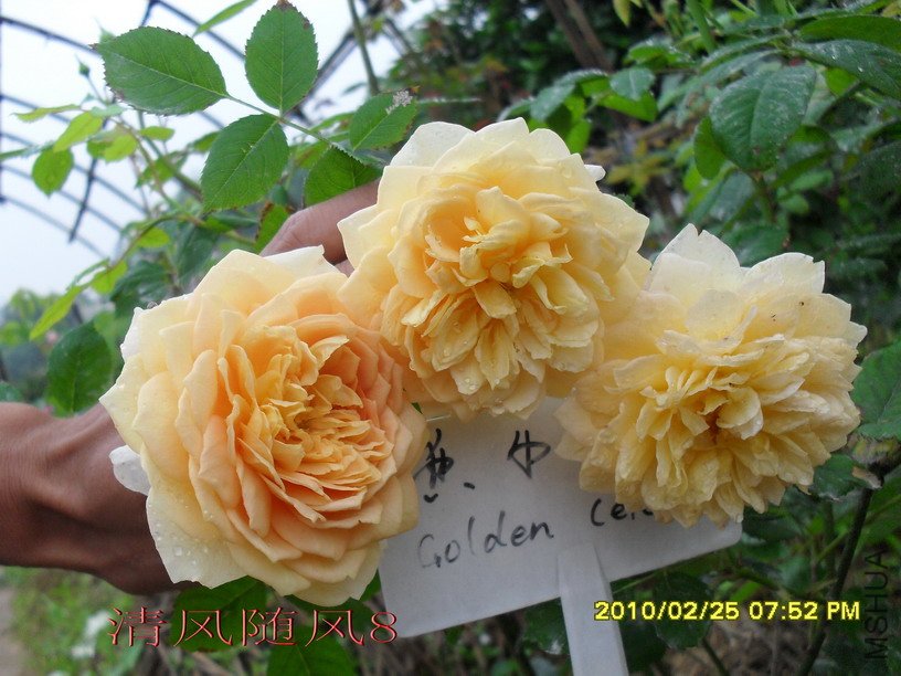 �ƽ����2 (1).jpg