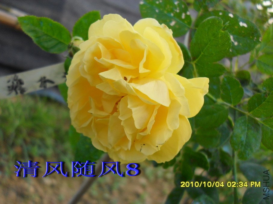 �׿��ʻ���11 (3).jpg