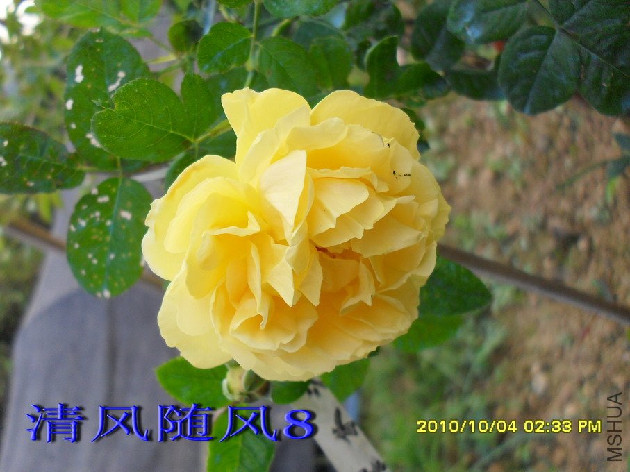 �׿��ʻ���11 (2).jpg