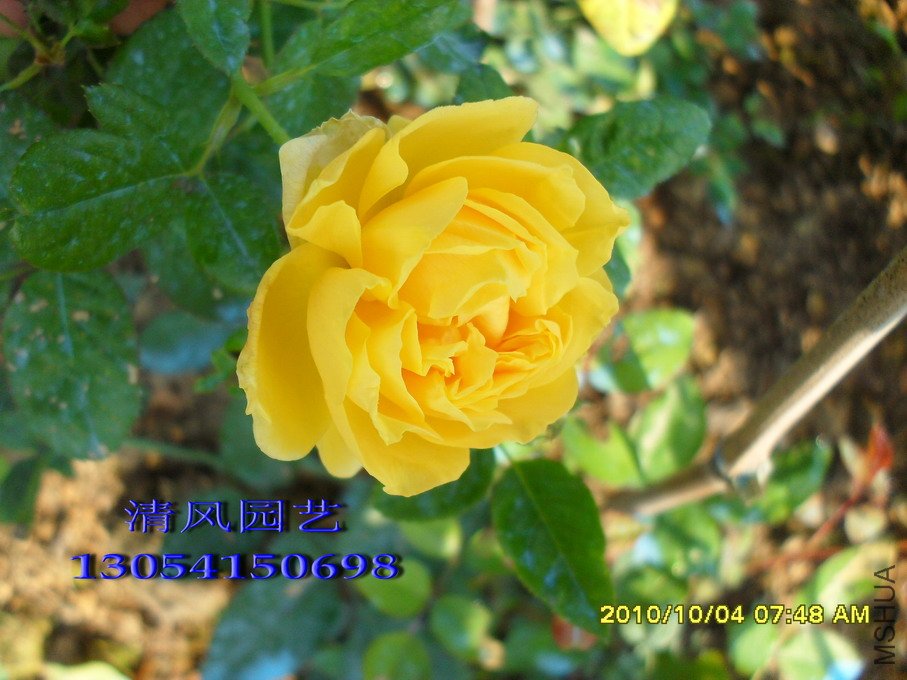 �׿��ʻ���11 (5).jpg