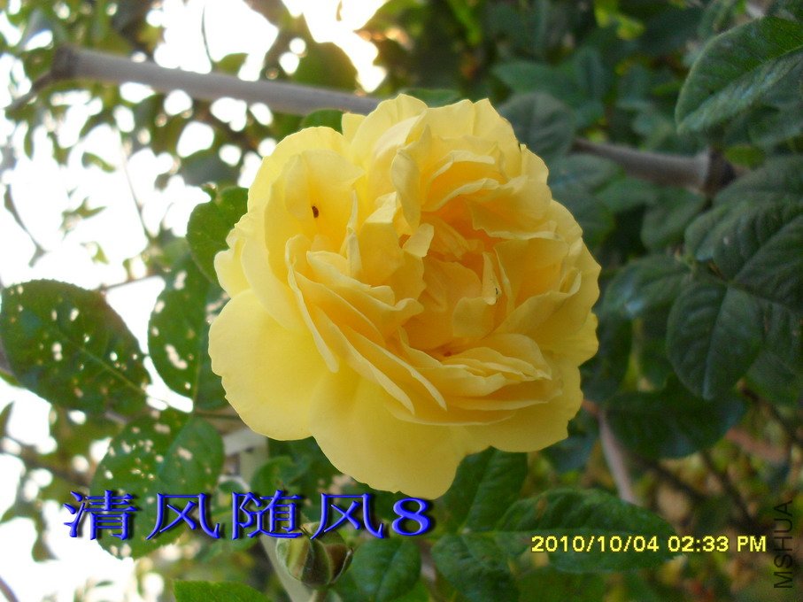 �׿��ʻ���11 (1).jpg