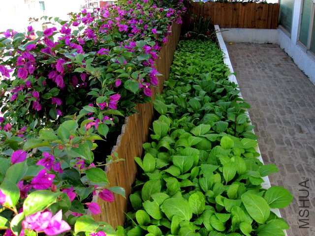 ���,���˵ذ�