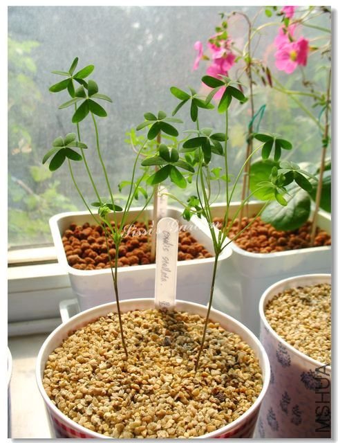 nEO_IMG_101017 142.jpg