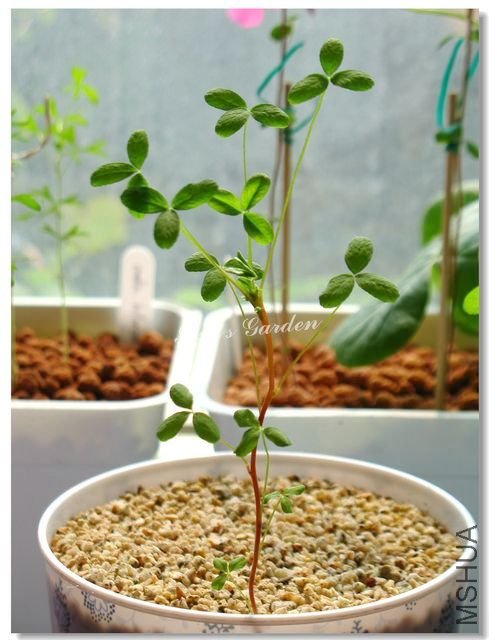 nEO_IMG_101017 139.jpg