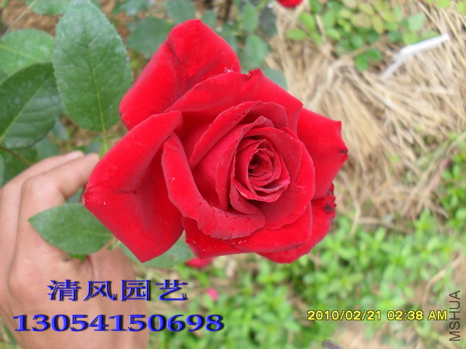 ������11 (5).jpg