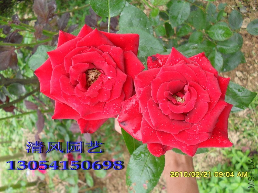 ������11 (4).jpg