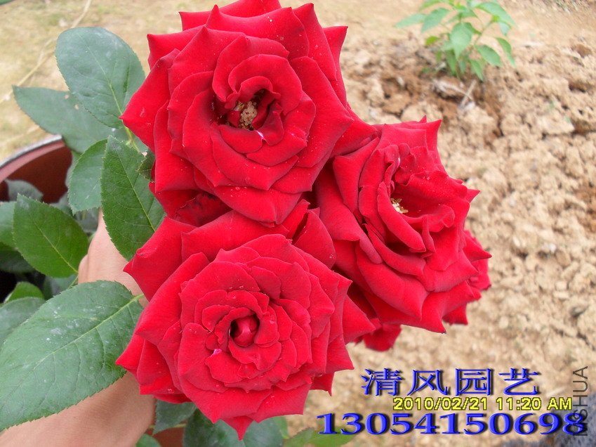 ������11 (1).jpg