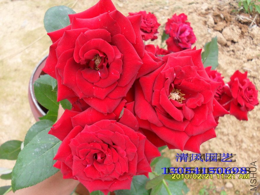 ������11 (2).jpg