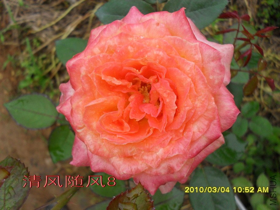 ��������11 (5).jpg