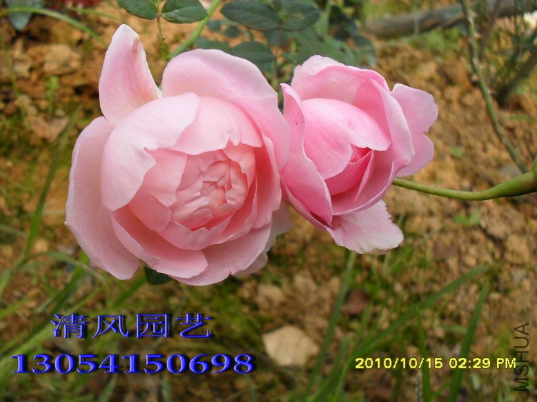 Ȩ��֮��12 (2).jpg