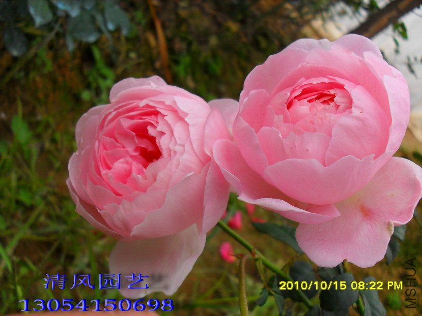 Ȩ��֮��12 (1).jpg