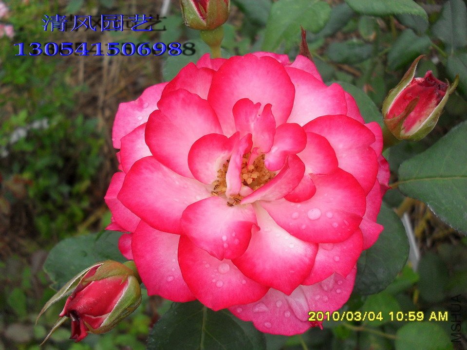 ����¶�12 (2).jpg