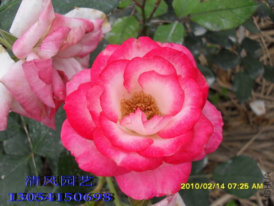 ����¶�12 (1).jpg